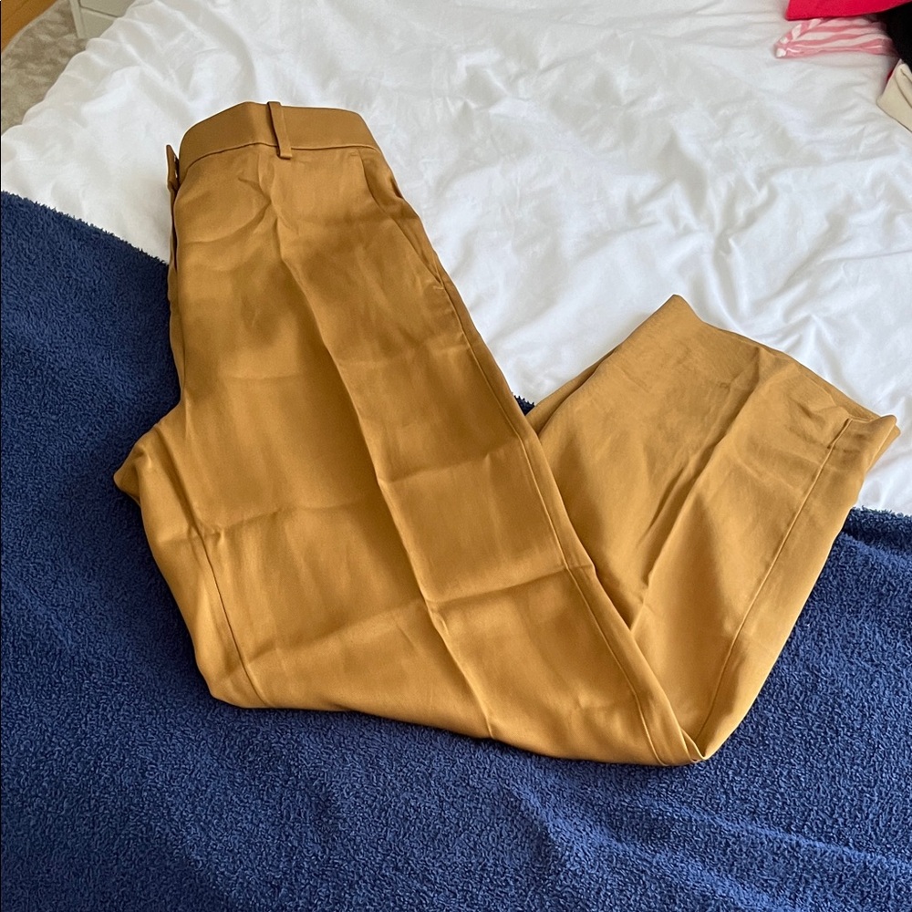 NWT tan j.crew dress pant